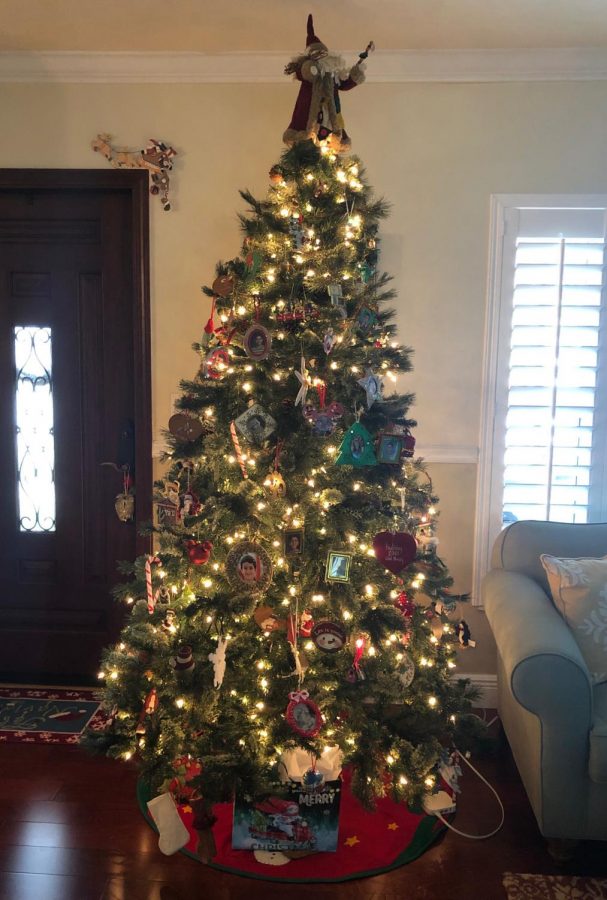 Christmas trees can have both personalized and thematic decorations