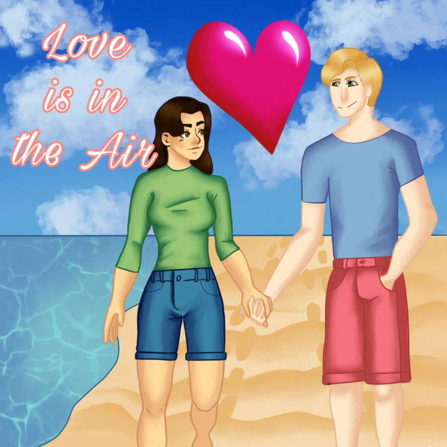 There are many things you can do with your significant other on Valentine's Day, here are a couple of date ideas for this special day. 