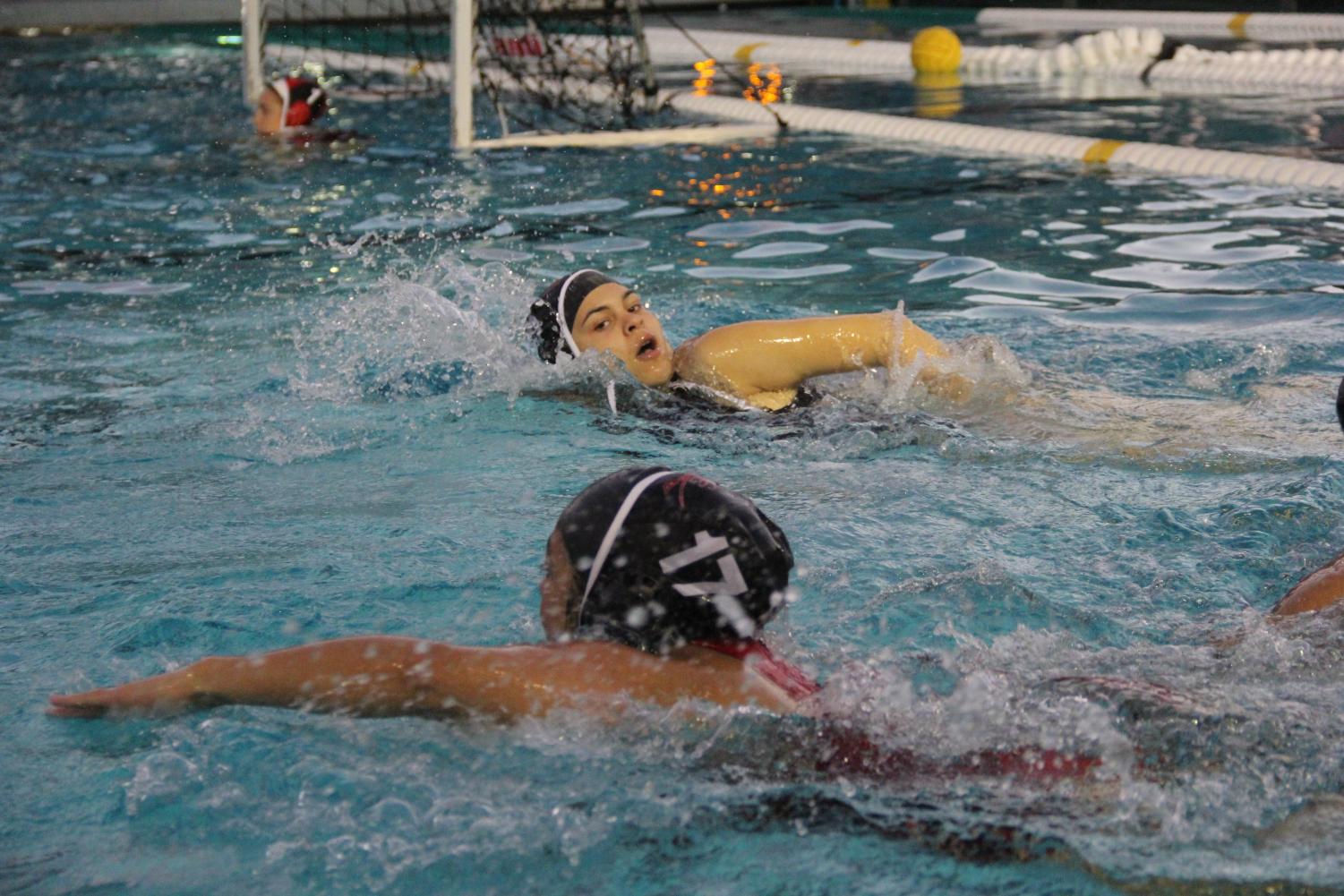 A+Waterpolo+Victory+Against+Terra