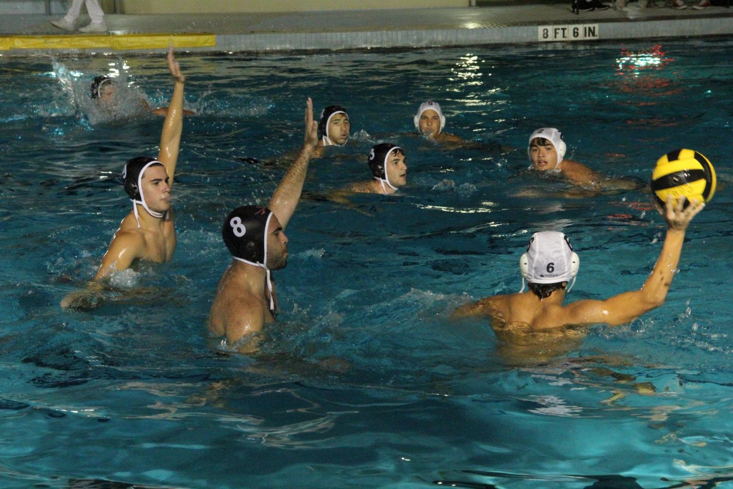 A Waterpolo Victory Against Terra