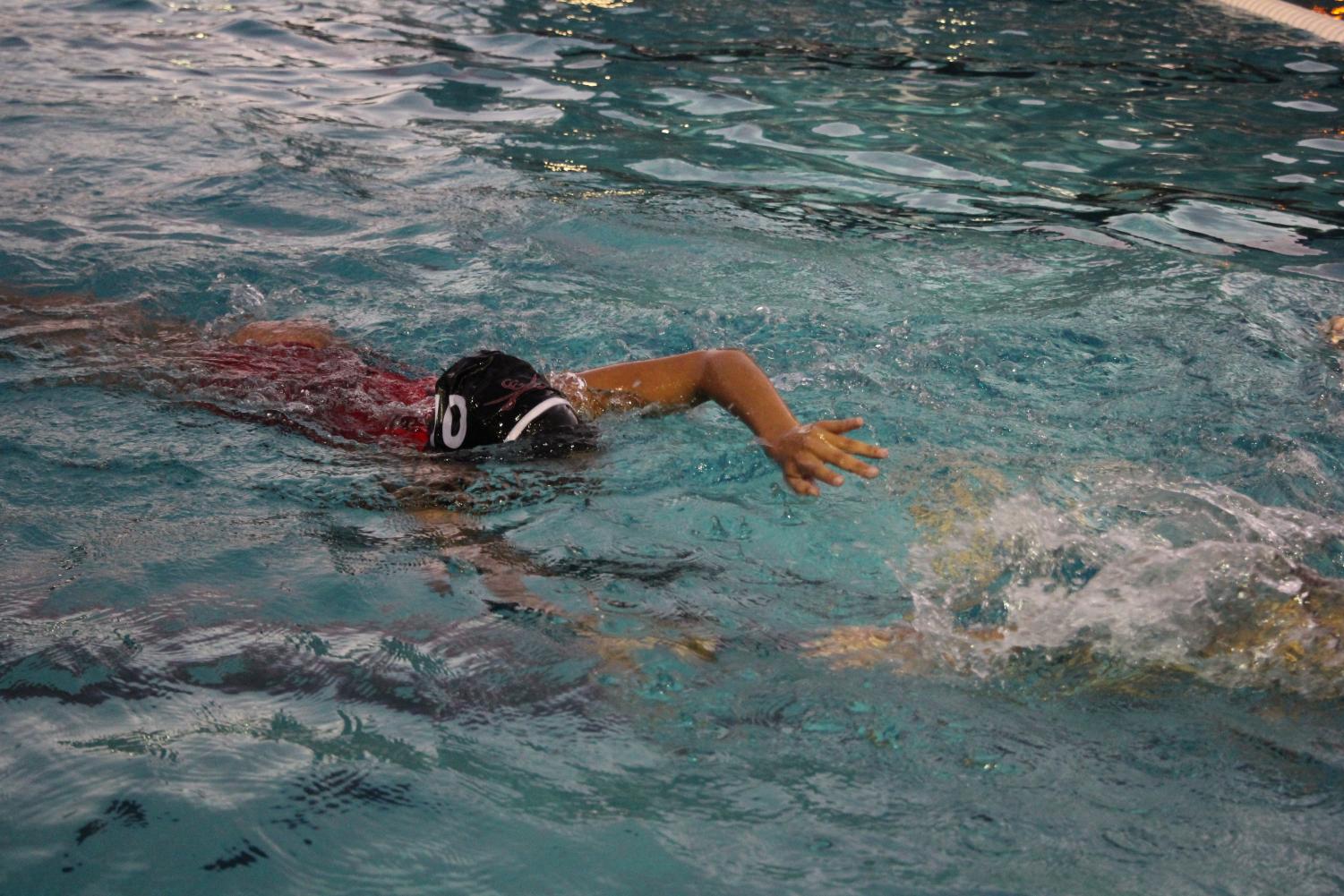 A Waterpolo Victory Against Terra