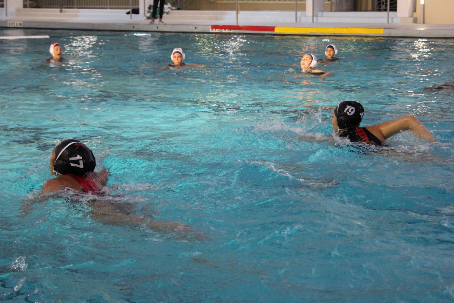 A Waterpolo Victory Against Terra