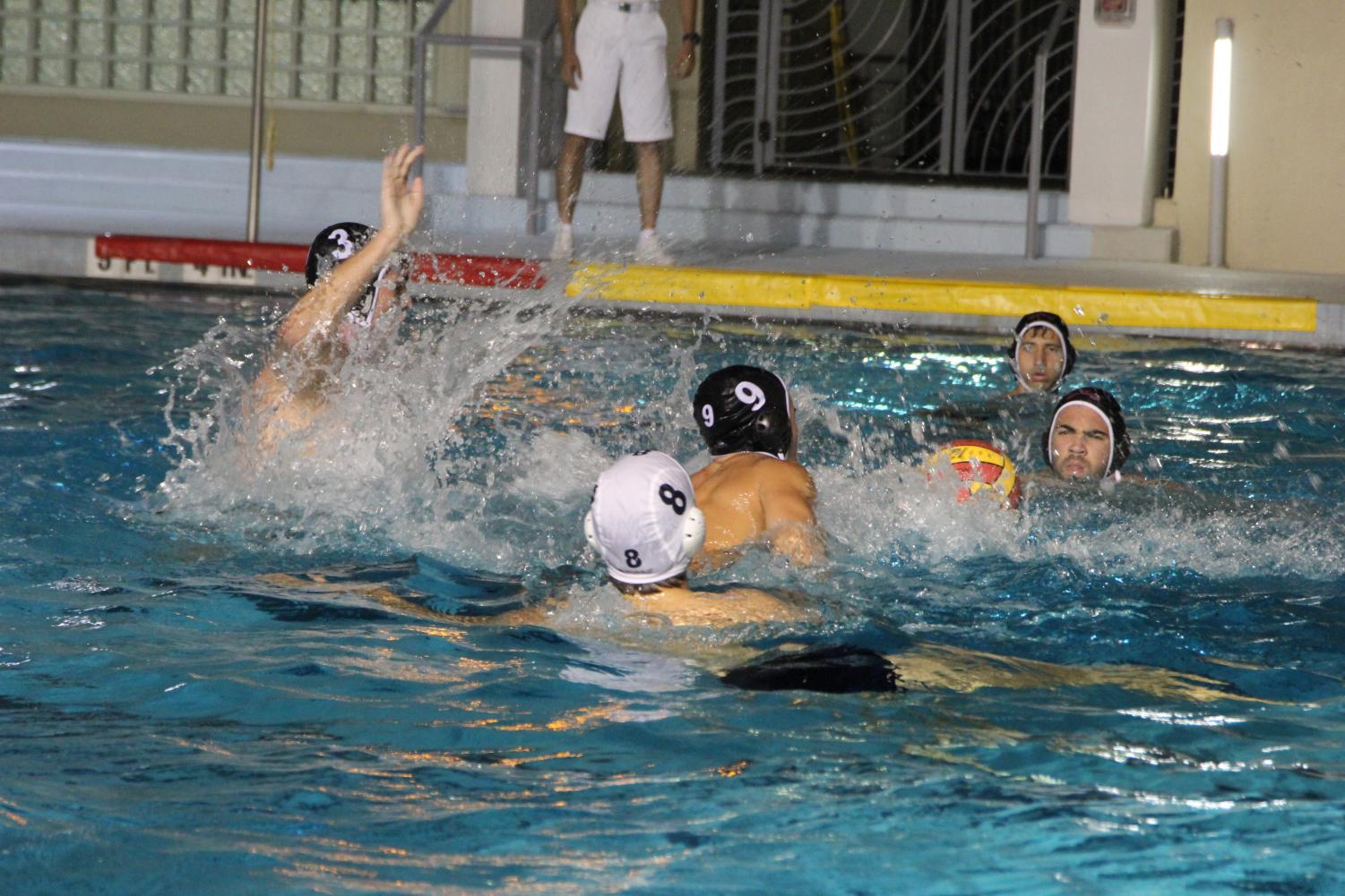 A Waterpolo Victory Against Terra