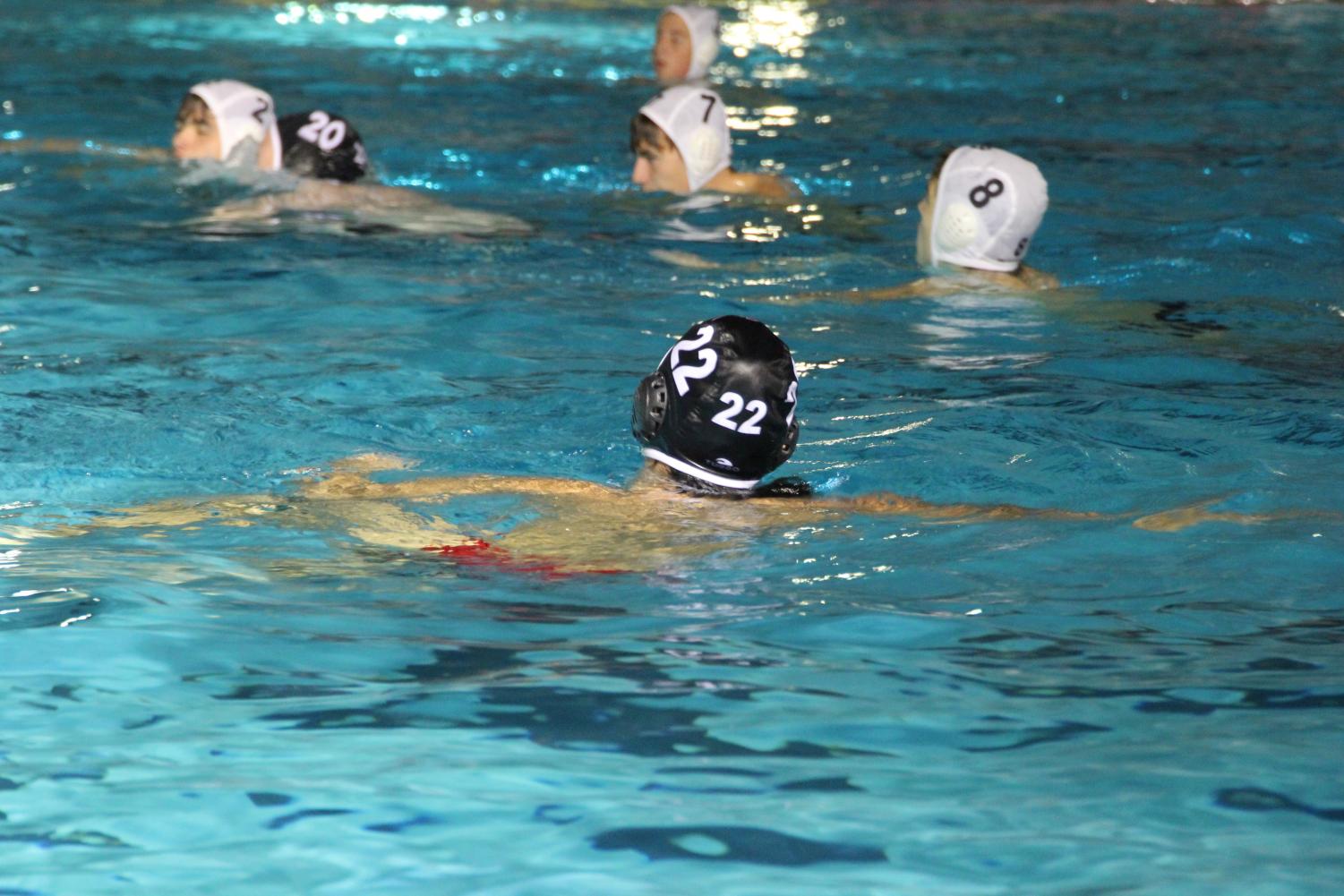 A Waterpolo Victory Against Terra