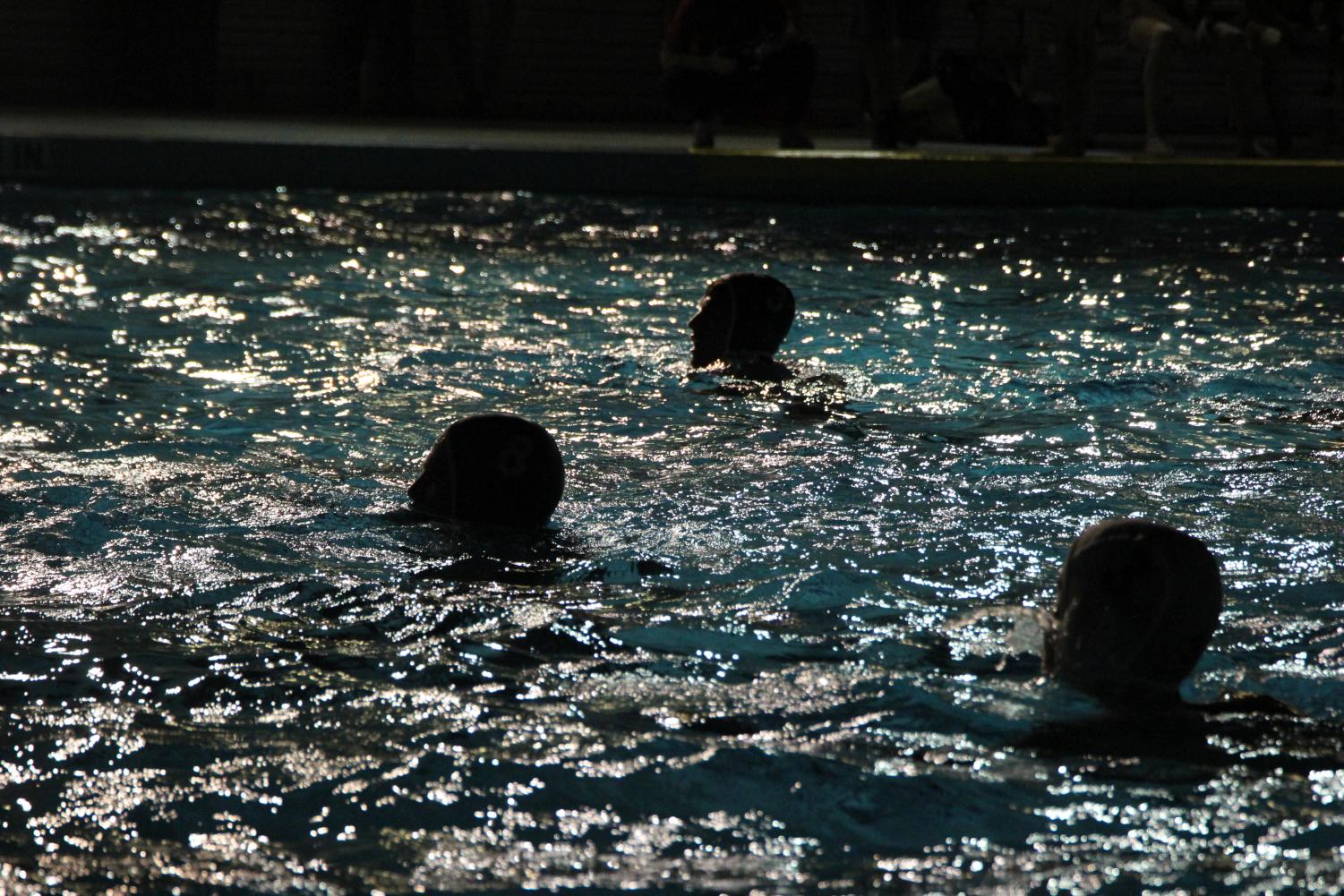 A Waterpolo Victory Against Terra