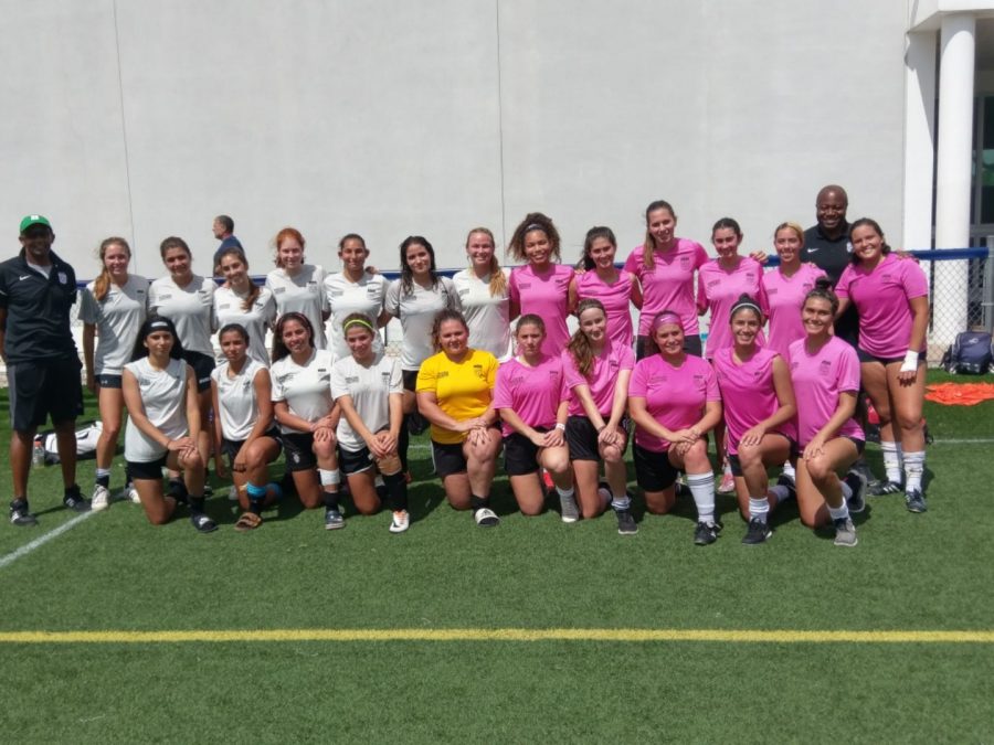 The female All-Star players were separated into pink and white teams for the event based on school and position.