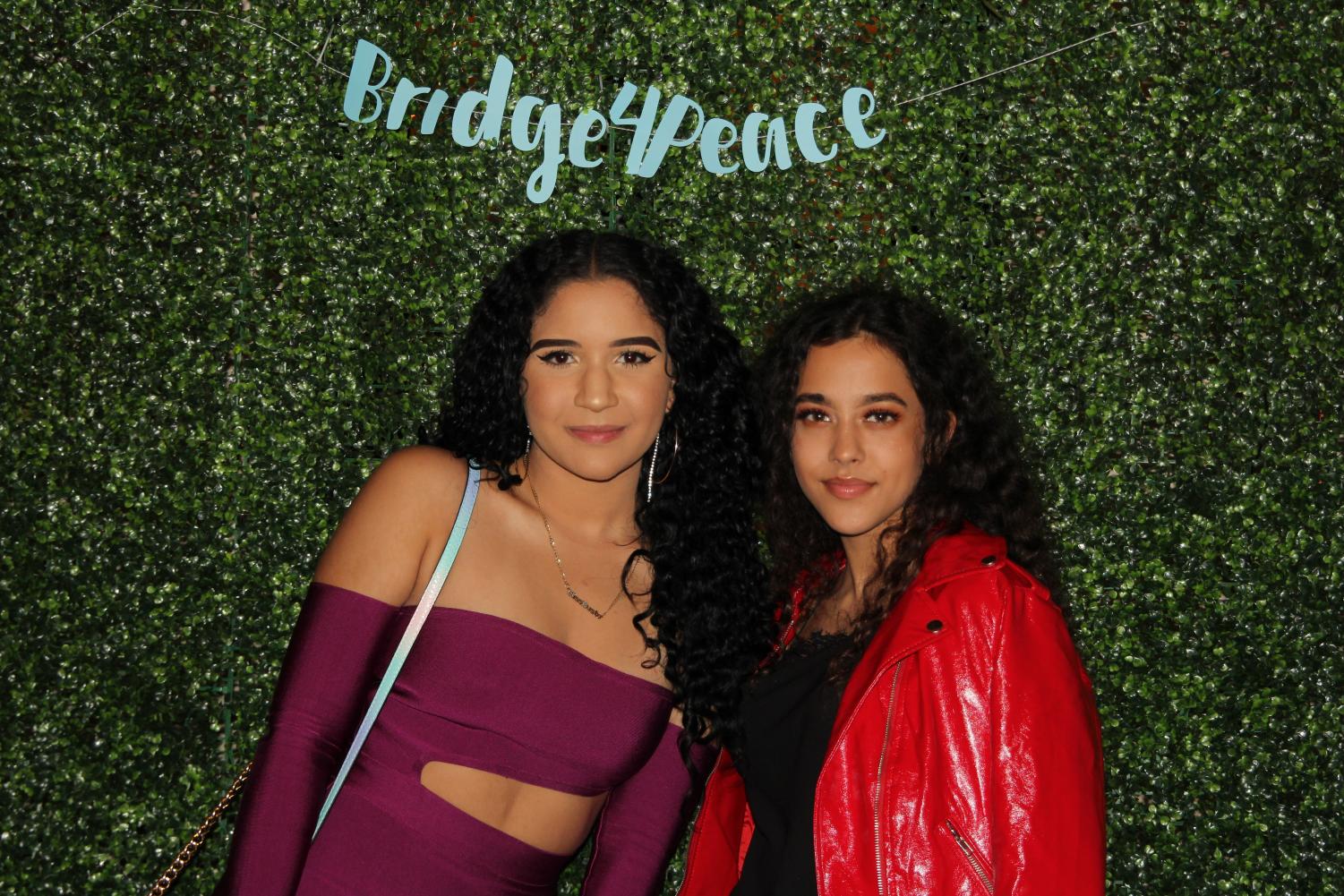 Bridge 4 Peace 2019: An International Cause