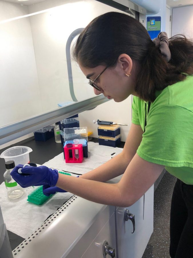 Senior Lia Sanchez performed scientific tests on coral samples as a part of her internship at the Frost Museum of Science.