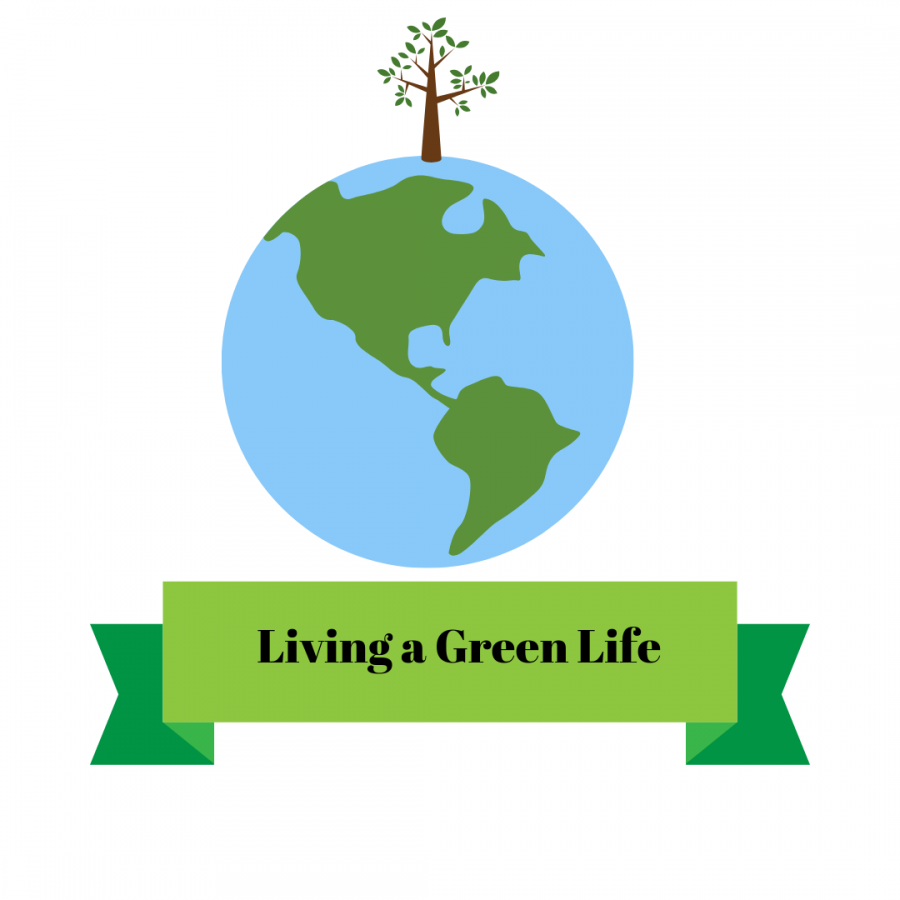 There are many things you can do to help our Earth and its environment. The most minimal daily tasks can eventually add up to make a big difference. Don't let being a student stop you from helping our climate and living a greener life!