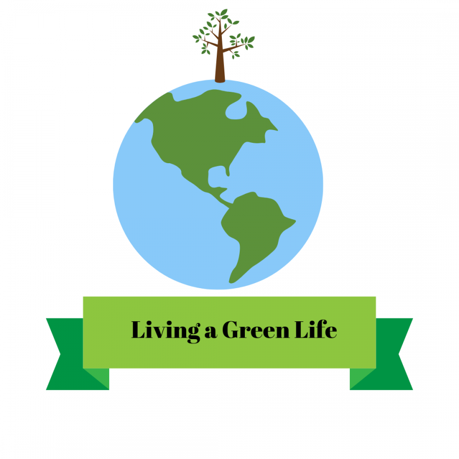 There are many things you can do to help our Earth and its environment. The most minimal daily tasks can eventually add up to make a big difference. Dont let being a student stop you from helping our climate and living a greener life!