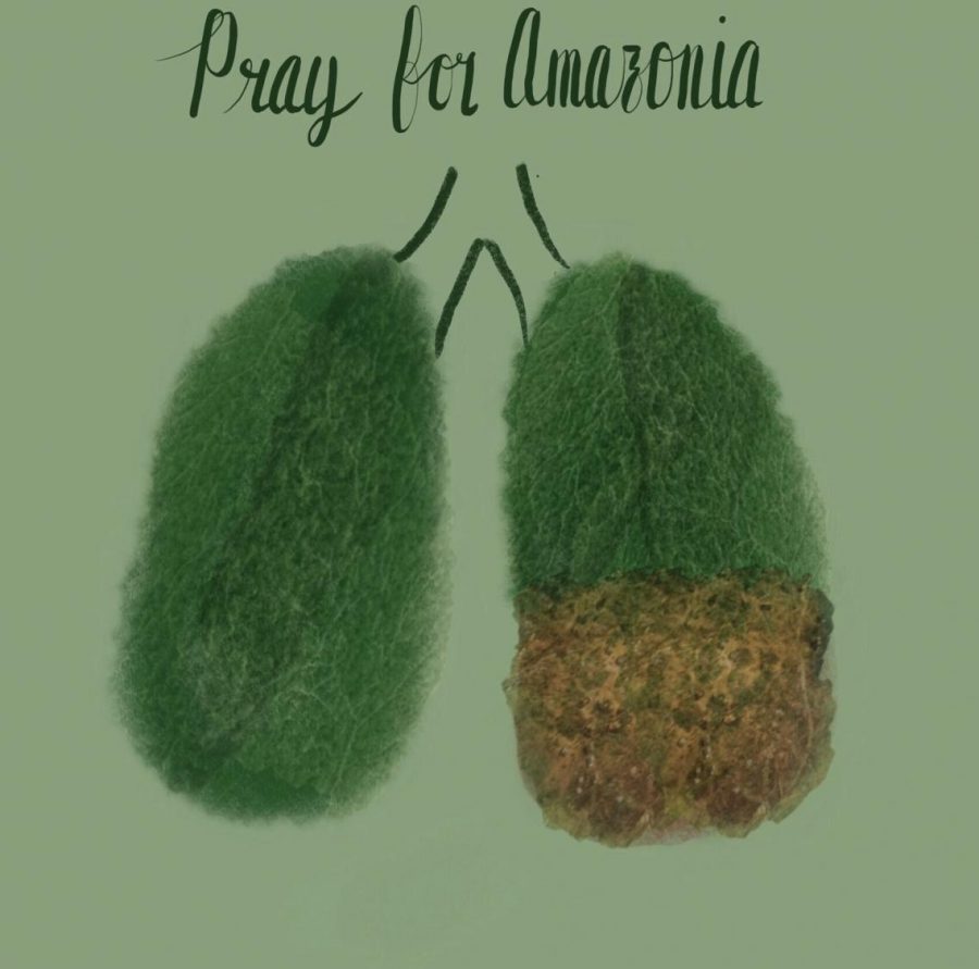 The+Amazon+rainforest+is+one+of+the+most+important+ecosystems+on+the+planet+and+it+is+time+that+we+take+action+in+keeping+it+alive.