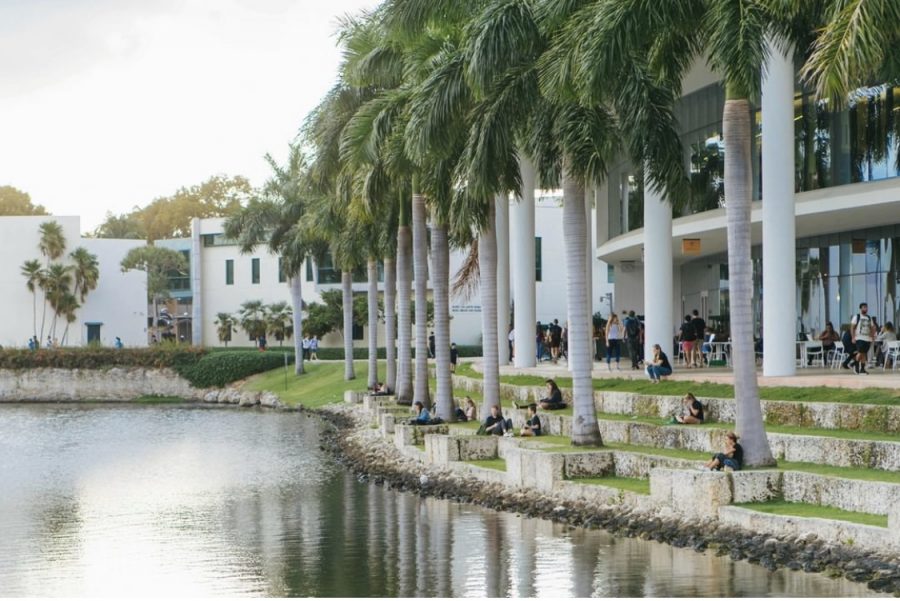 The University of Miami is home to one of the most beautiful college campuses in the state with large bodies of water and towering palms. 