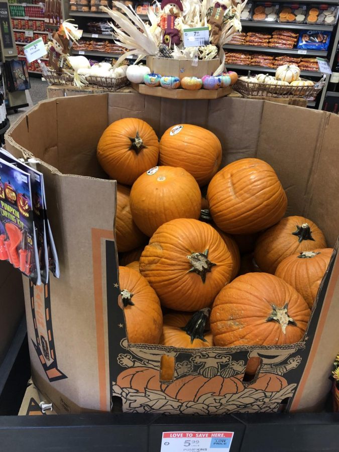 Many grocery stores and pumpkin patches sell pumpkins throughout the fall season.