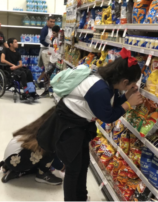 Exceptional Field Trips for Exceptional Students