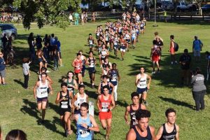 The Cavalier Cross Country runners taking on the "King of the Hill" course at Tropical Park.