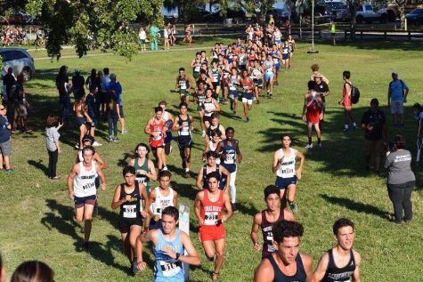 The Cavalier Cross Country runners taking on the King of the Hill course at Tropical Park.