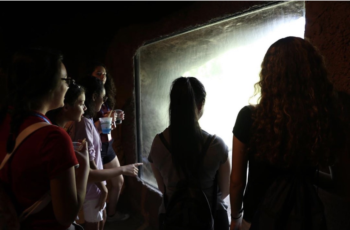 IB Group 4: Allowing Students to Learn Beyond the Classroom