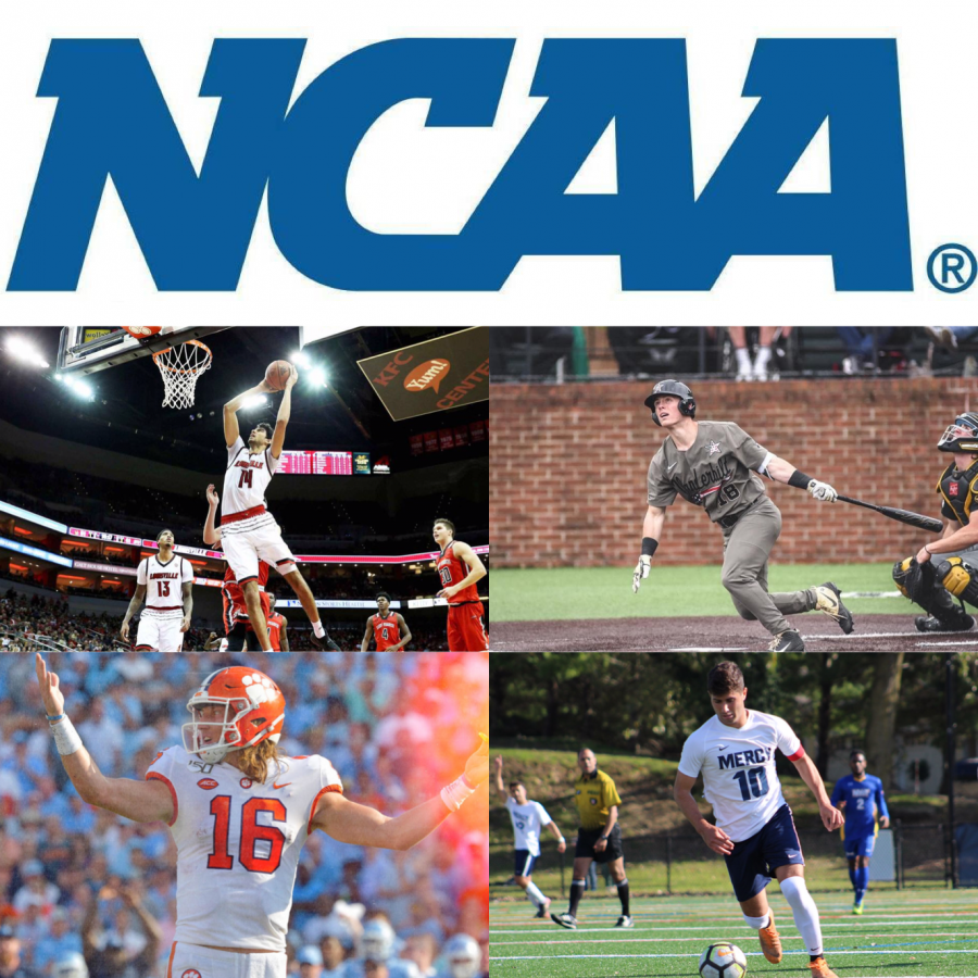 The National Collegiate Athletic Association (NCAA) unites several of the country's biggest sports, including basketball, baseball, football and soccer, under one enormous sports umbrella.