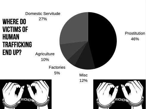 This chart demonstrates that the majority of Human Trafficking victims end up in Prostitution. - Sources: US Department of Health and Human Services