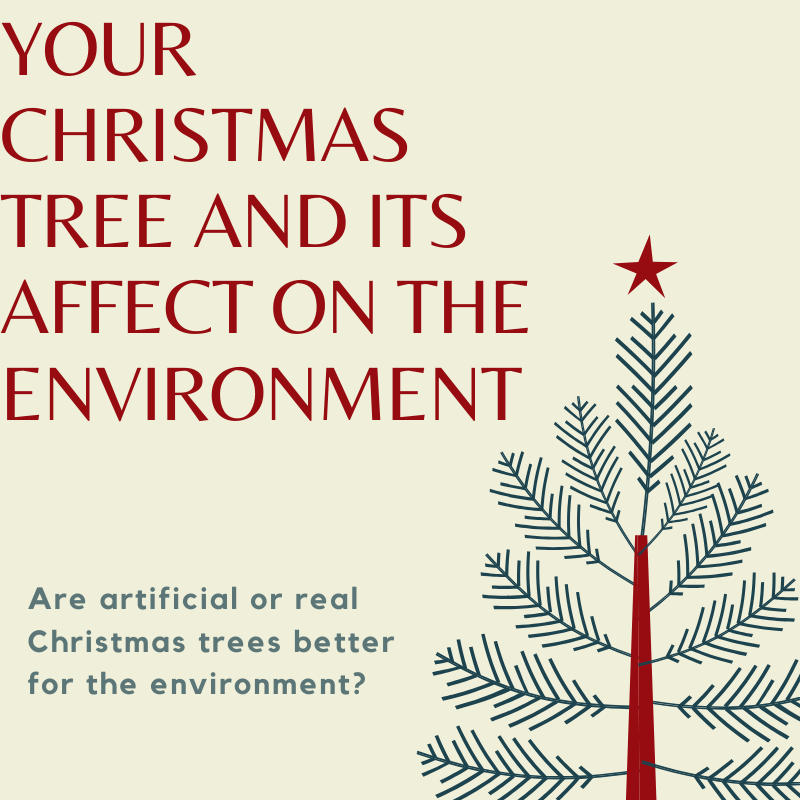 Your+Christmas+tree+significantly+affects+the+environment+when+they+are+being+bought+on+a+global+level%2C+so+be+sure+to+make+the+appropriate+choice+this+holiday+season.