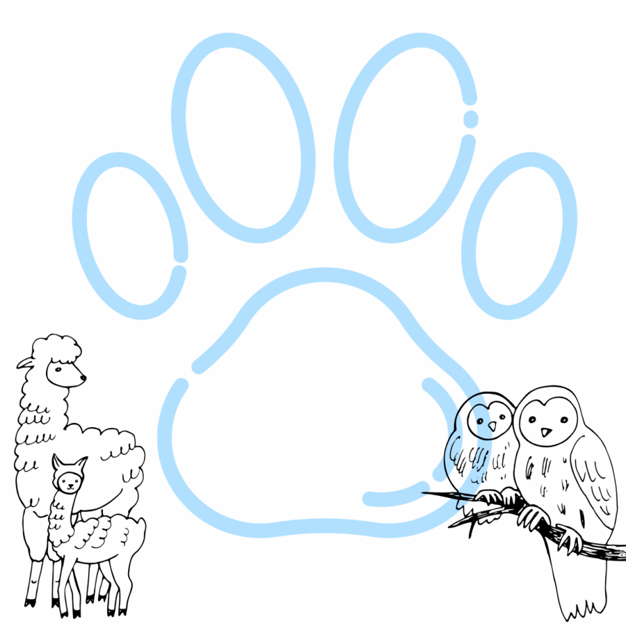 Several students and a teacher are the proud owners of some different yet lovable pets.