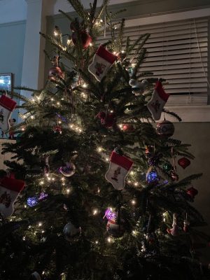 'Tis the season of gift giving and home decorating!