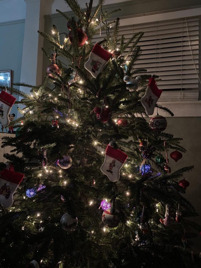 'Tis the season of gift giving and home decorating!