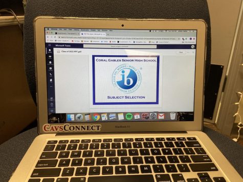 Suggestions for IB Subject Selection