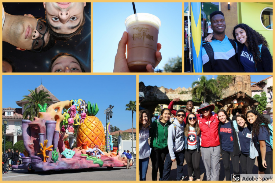 A collection of Grad Bash memories, from Spongebob Squarepants at Universal to Butter Beer in Islands of Adventure's Harry Potter World.
