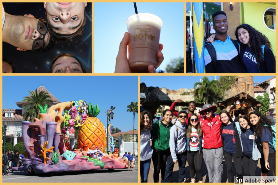 A collection of Grad Bash memories, from Spongebob Squarepants at Universal to Butter Beer in Islands of Adventures Harry Potter World.