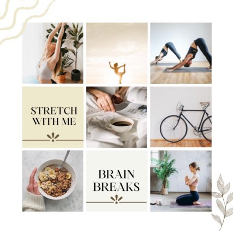 Brain Break: Stretch With Me
