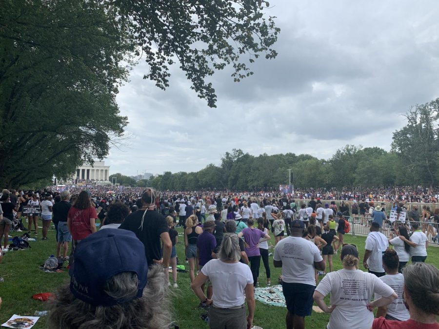 Hundreds participate at the peaceful Black Lives Matter movements protest located in Washington, D.C.