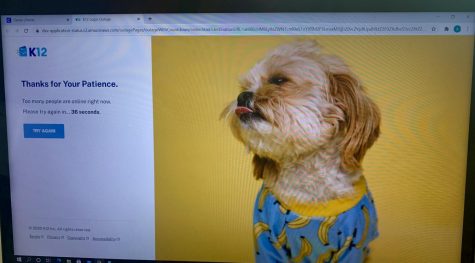 As students tried to log onto the k-12 platform they received an error message