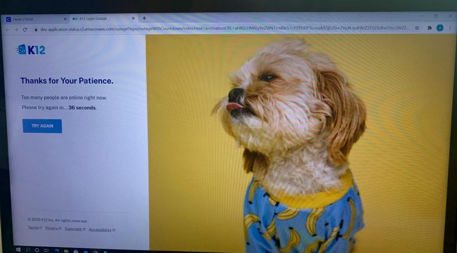 As students tried to log onto the k-12 platform they received an error message