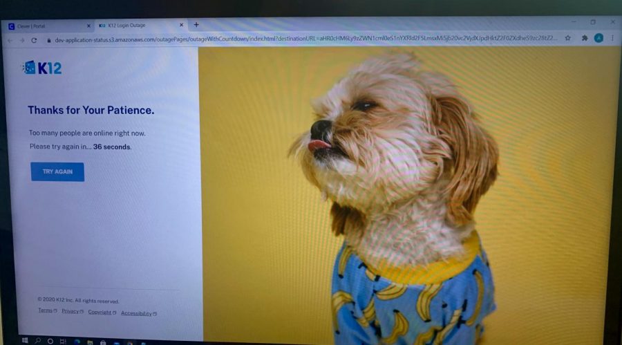 As+students+tried+to+log+onto+the+k-12+platform+they+received+an+error+message