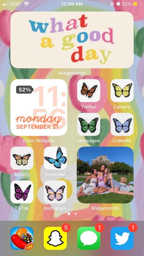 This home screen has been customized with bit of a 70s vibes, and each app has a different color butterfly.