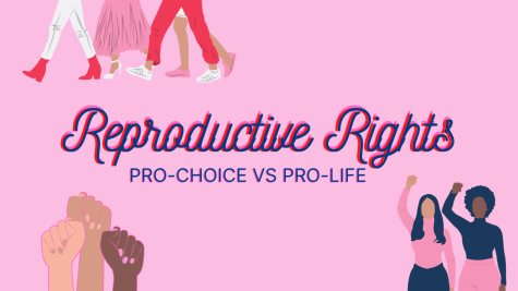 Womens reproductive rights bear the brunt of a never-ending and highly politicized discussion. Pro-Choice and Pro-Life are the two main sides to this debate and struggle to find common ground.