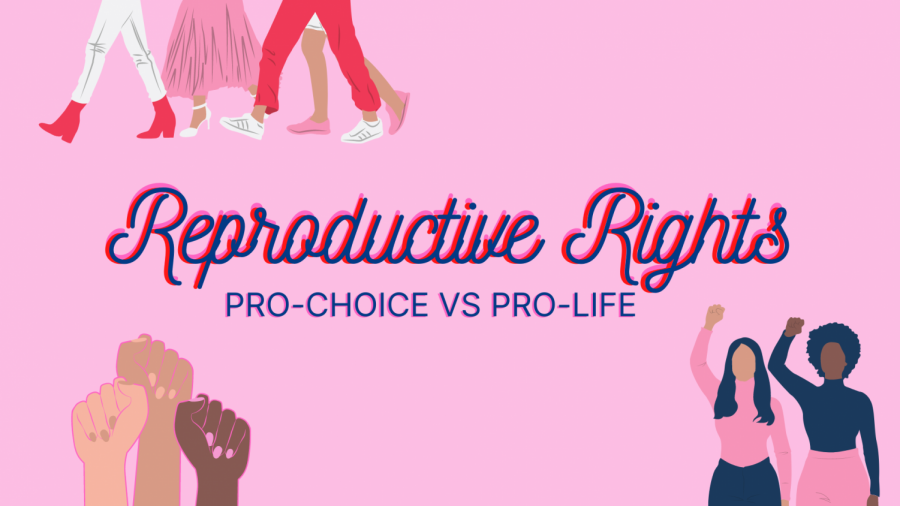 Women's reproductive rights bear the brunt of a never-ending and highly politicized discussion. Pro-Choice and Pro-Life are the two main sides to this debate and struggle to find common ground.