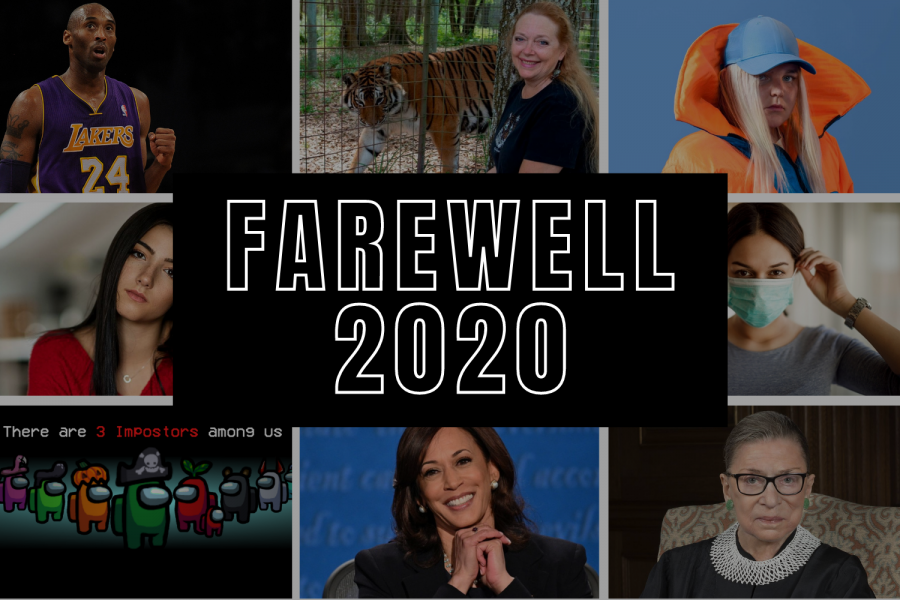 Farewell 2020