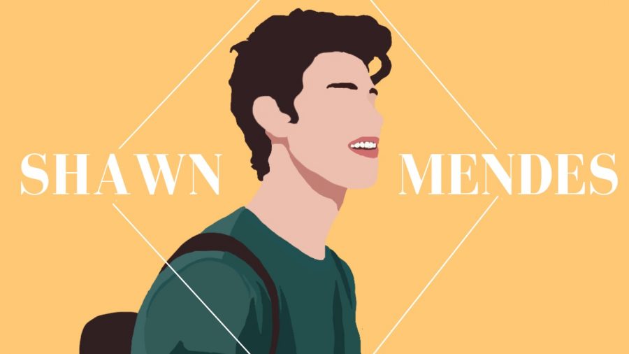 Shawn Mendes (1)