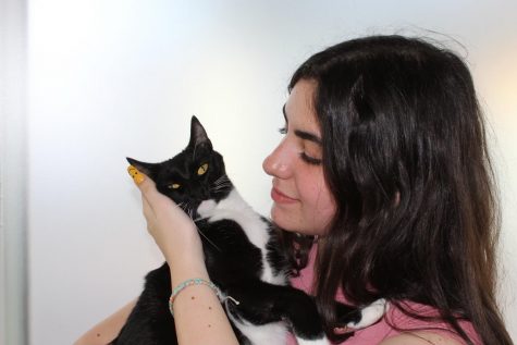 Junior Rebeca Morejon holding one of her 24 beloved cats, Khloe.