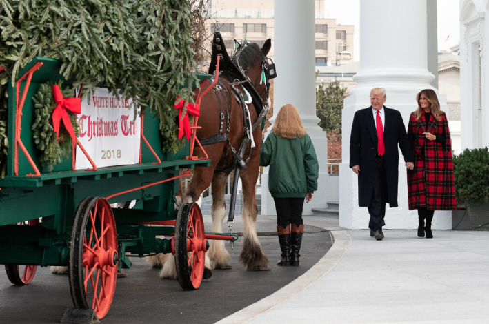 The National Christmas Tree Contest winner is delivered to the White House to kick off the holiday season.