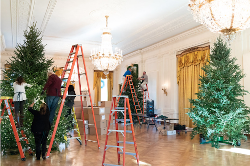 Christmas decorators add lights onto the massive trees that fill the White House.