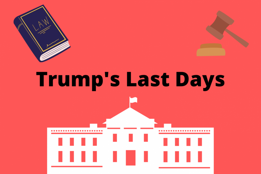 Former President Donald Trump uses his last few days in office to give out last minute pardons.