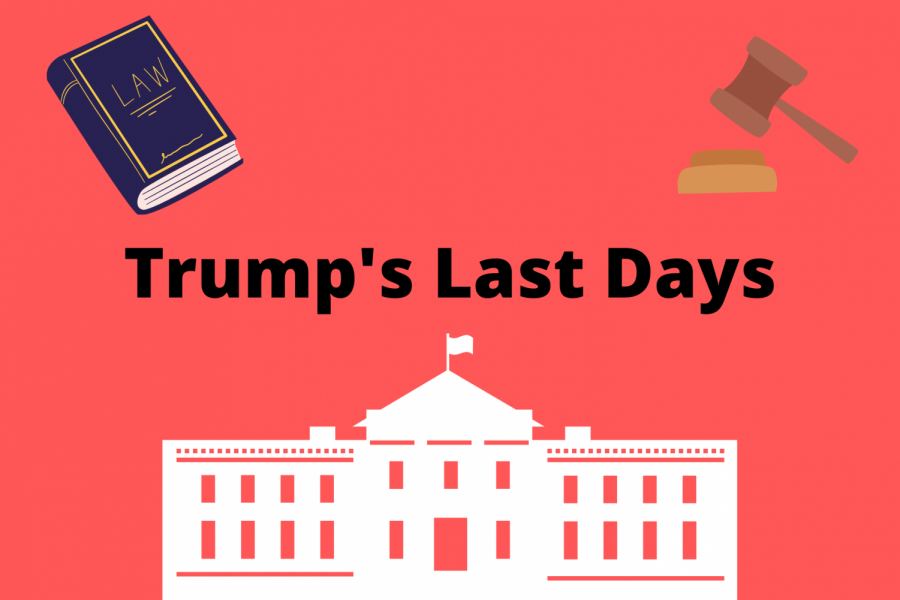 Former+President+Donald+Trump+uses+his+last+few+days+in+office+to+give+out+last+minute+pardons.