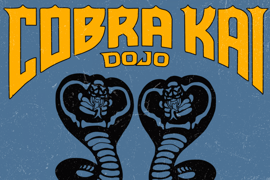 Which "Cobra Kai" Dojo Are You?