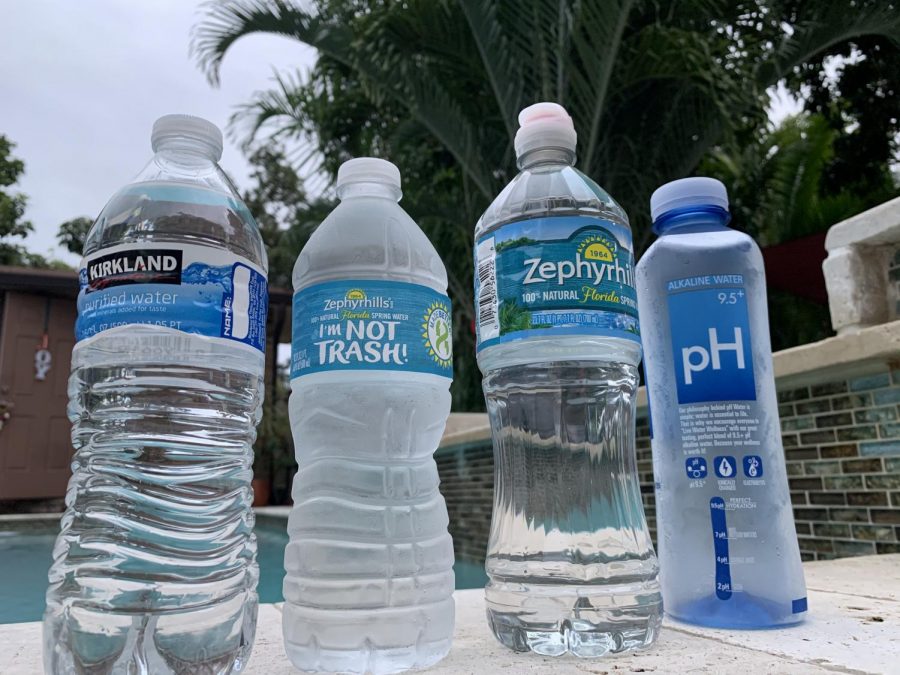 The bottled water market has very diverse competitors, but there is one that submerges the rest.