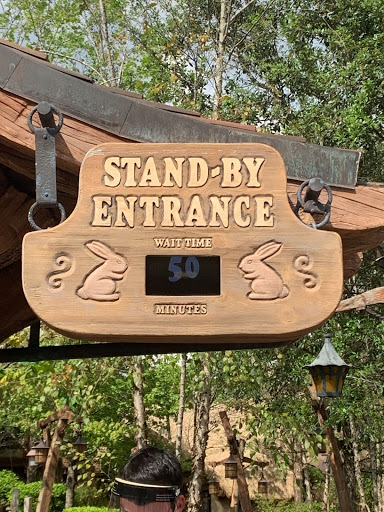 The Disney Experience During COVID-19