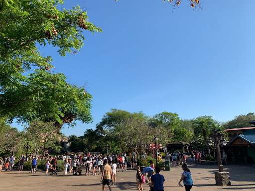 Crowds still form throughout the parks, as the theme parks retain their appeal despite the pandemic. 
