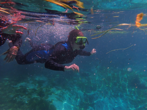 Although the 75 degrees Fahrenheit water of Three Sisters Springs was frigid at first, Nieto still jumped in and snorkeled with her family.